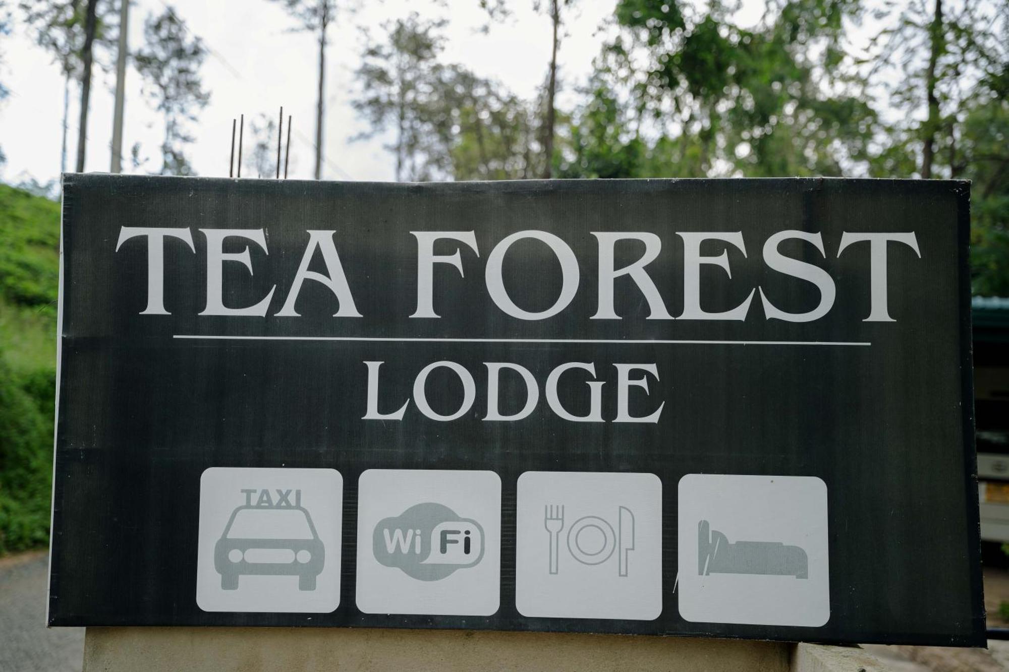 Tea Forest Lodge Ella Exterior foto